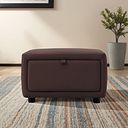 Aldo Storage Footstool in Chestnut Leather