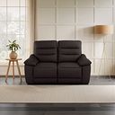 Carter 2 Seater Sofa in Brown Leather
