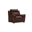 Dune Armchair in Coffee Bean Leather