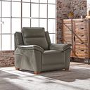 Dune Armchair in Elephant Grey Leather