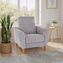 Dylan Armchair in Darwin Silver Fabric