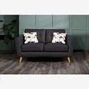 Evie 2 Seater Sofa in Charcoal Fabric