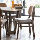 Isla Fossil Velvet Dining Chair