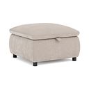 Phoenix Storage Footstool in Manhattan Cotton Fabric