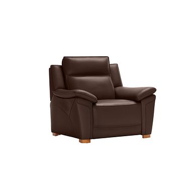 Dune Armchair in Coffee Bean Leather