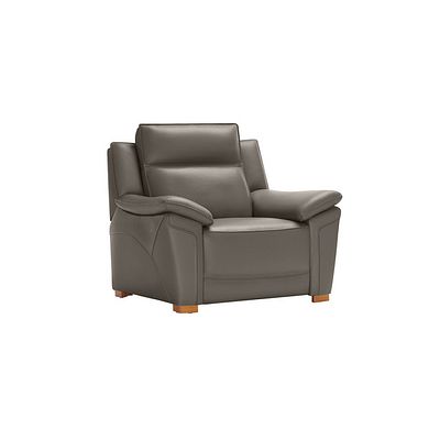 Dune Armchair in Elephant Grey Leather