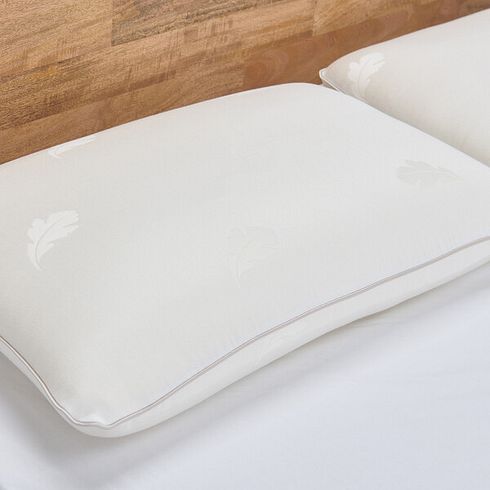 Back Sleeper Pillow