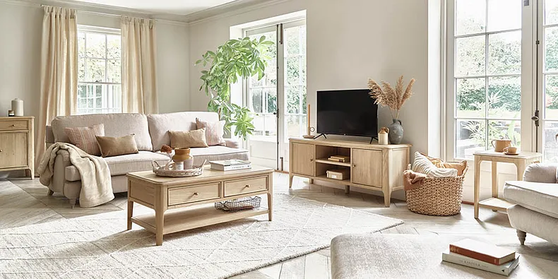 Living Room Furniture: