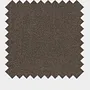 Burrow Penny