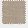 Sand Canna