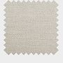 Darwin Ivory