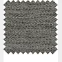 Darwin Charcoal