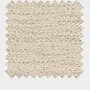 Darwin Ivory