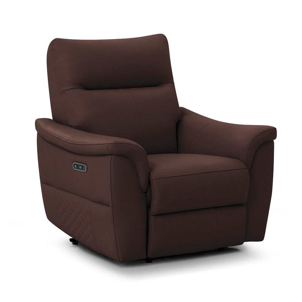 Aldo Recliner Armchair in Chestnut Leather 1