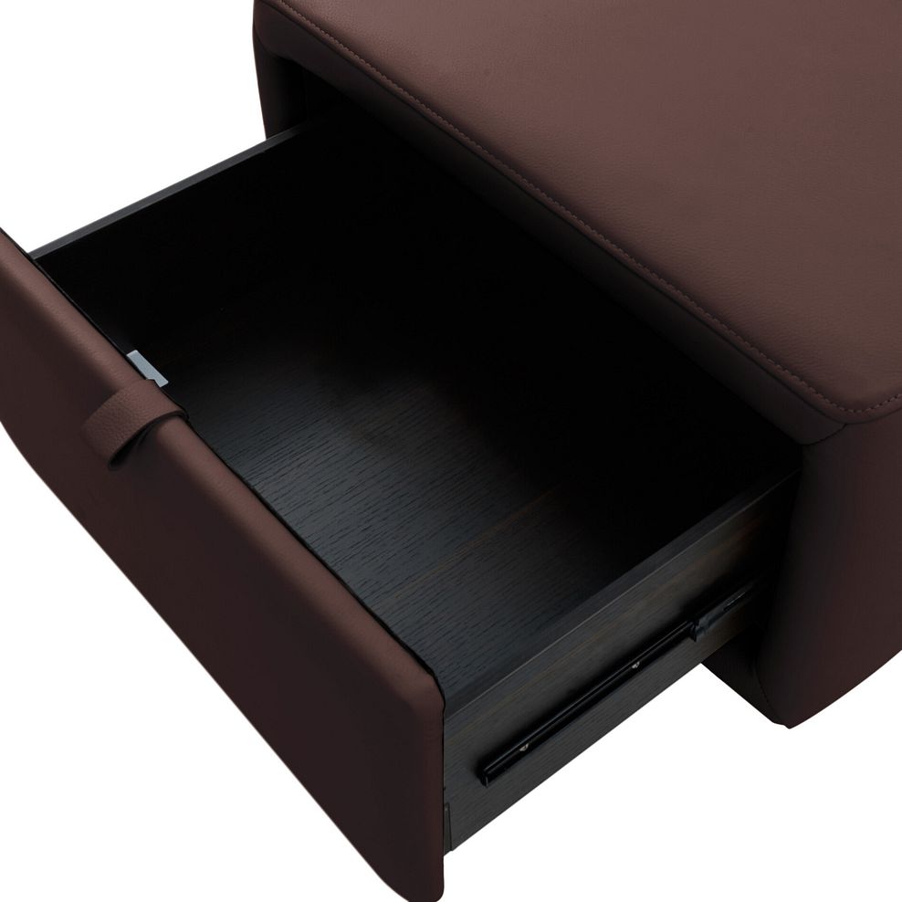 Aldo Storage Footstool in Chestnut Leather 6