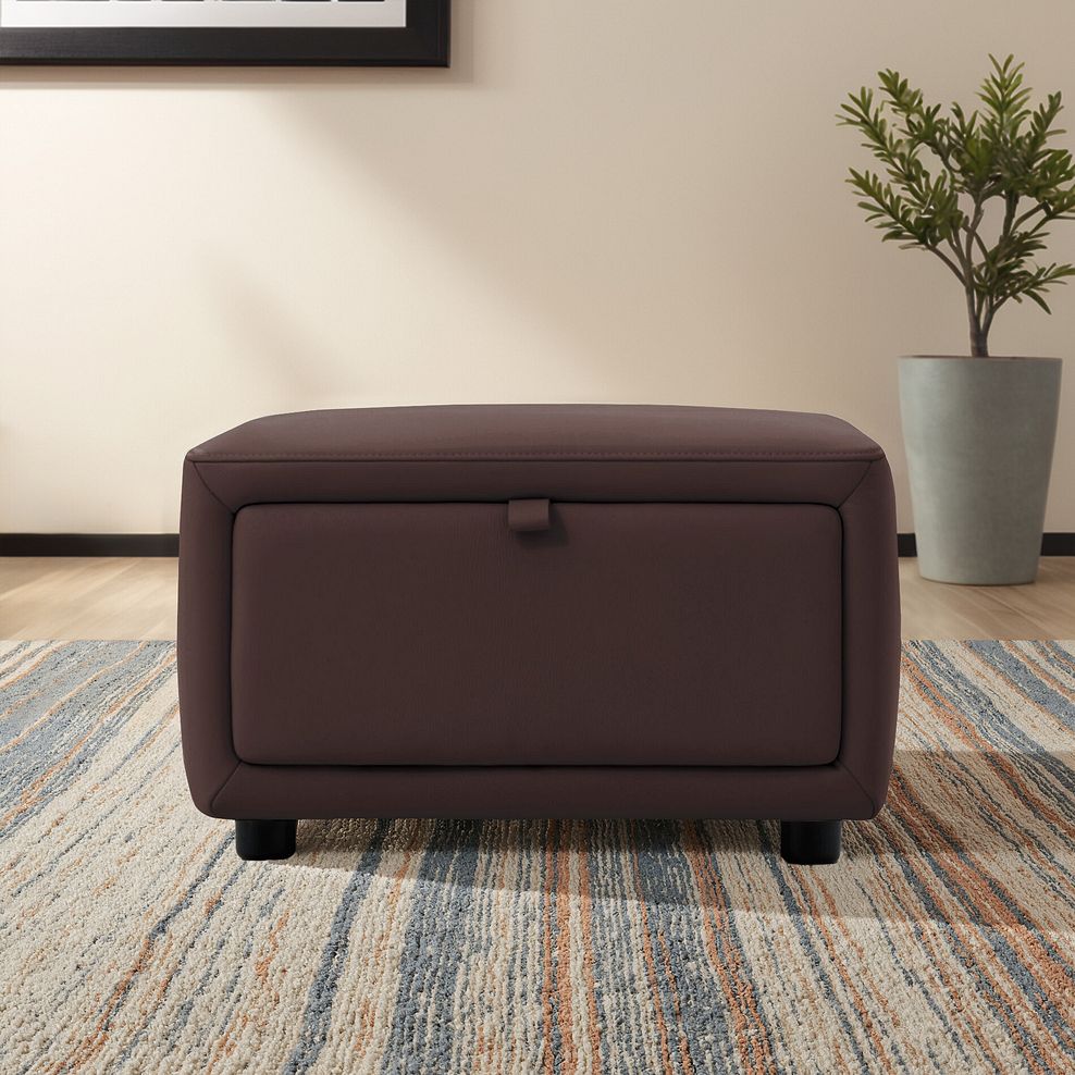Aldo Storage Footstool in Chestnut Leather 1