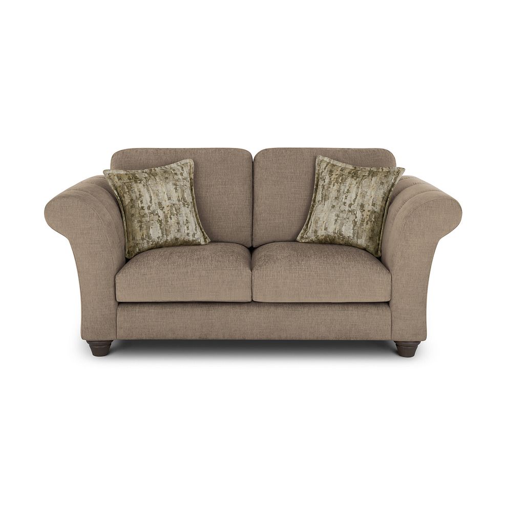 Amelie 2 Seater Sofa in Polar Mink Fabric with Grey Ash Feet 2