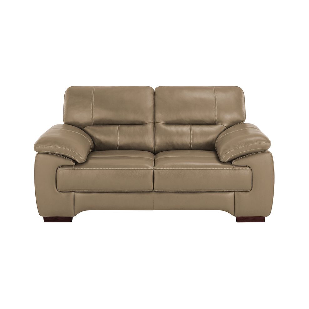 Arlington 2 Seater Sofa in Beige Leather 2