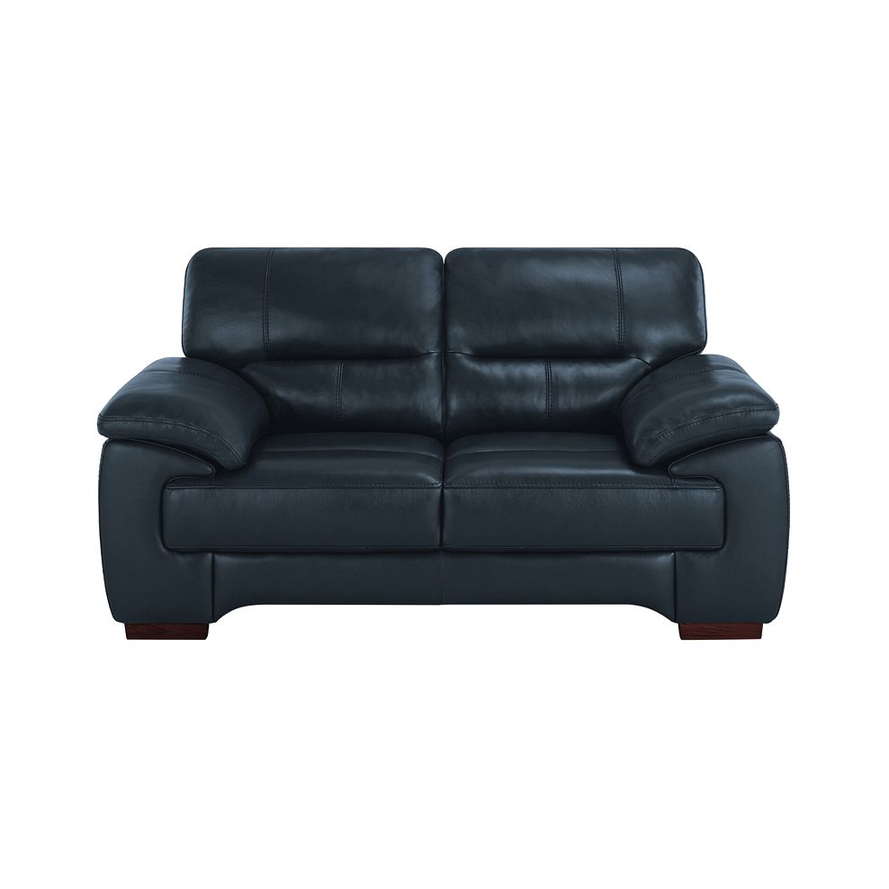 Arlington 2 Seater Sofa in Blue Leather 4