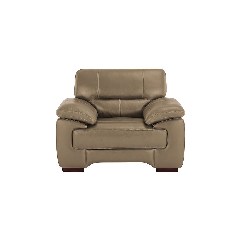 Arlington Armchair in Beige Leather 2