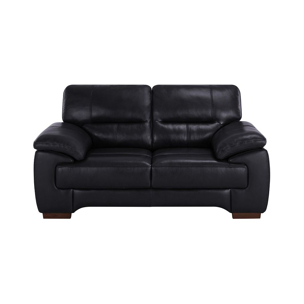 Arlington 2 Seater Sofa in Black Leather 2