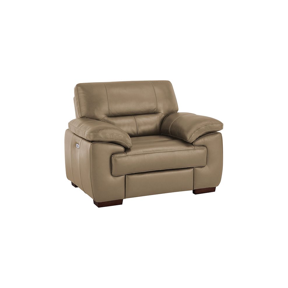 Arlington Electric Recliner in Beige Leather 1