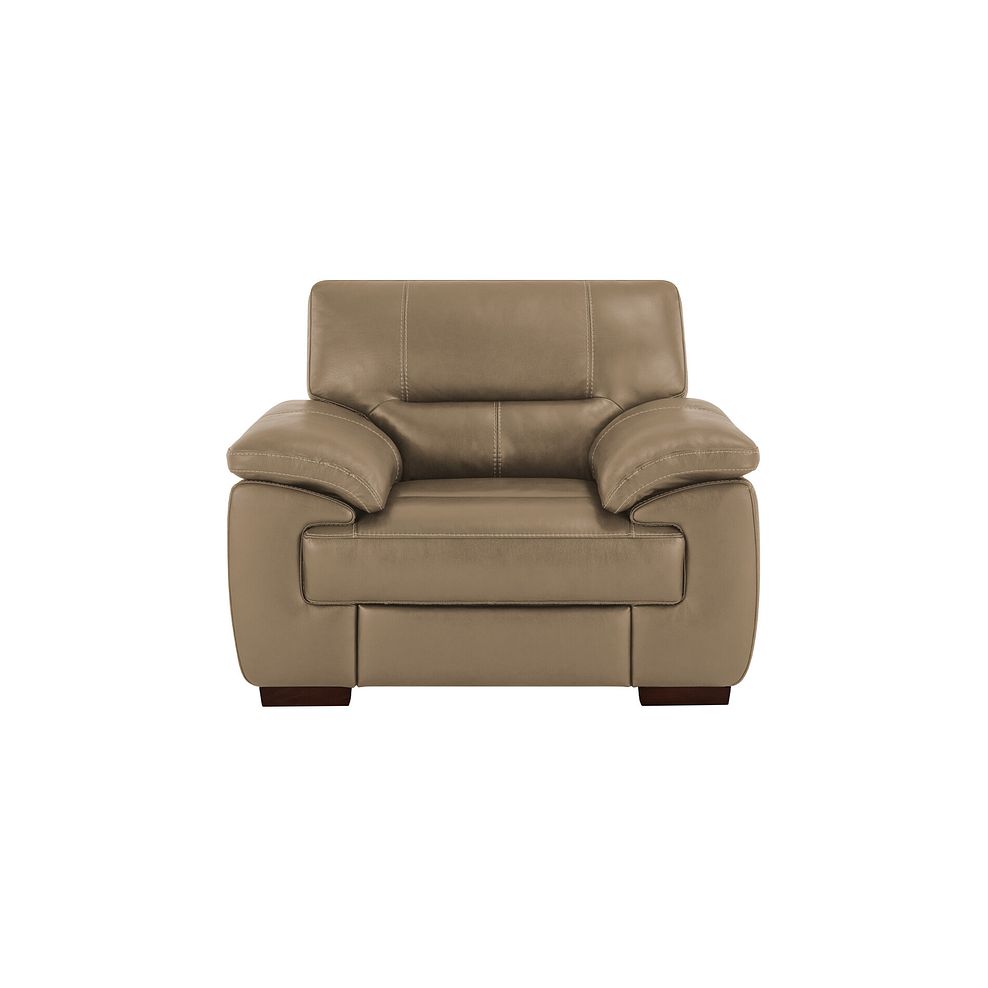 Arlington Electric Recliner in Beige Leather 2
