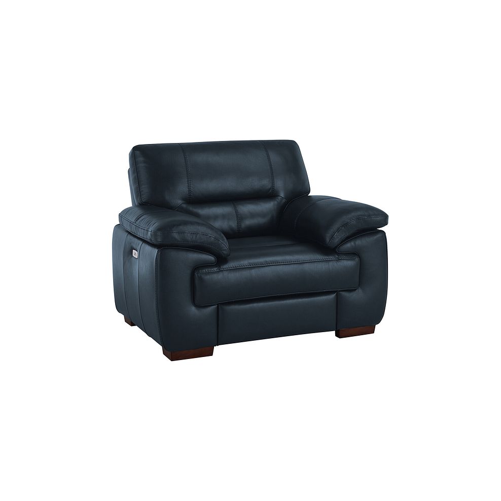 Arlington Electric Recliner in Blue Leather 1