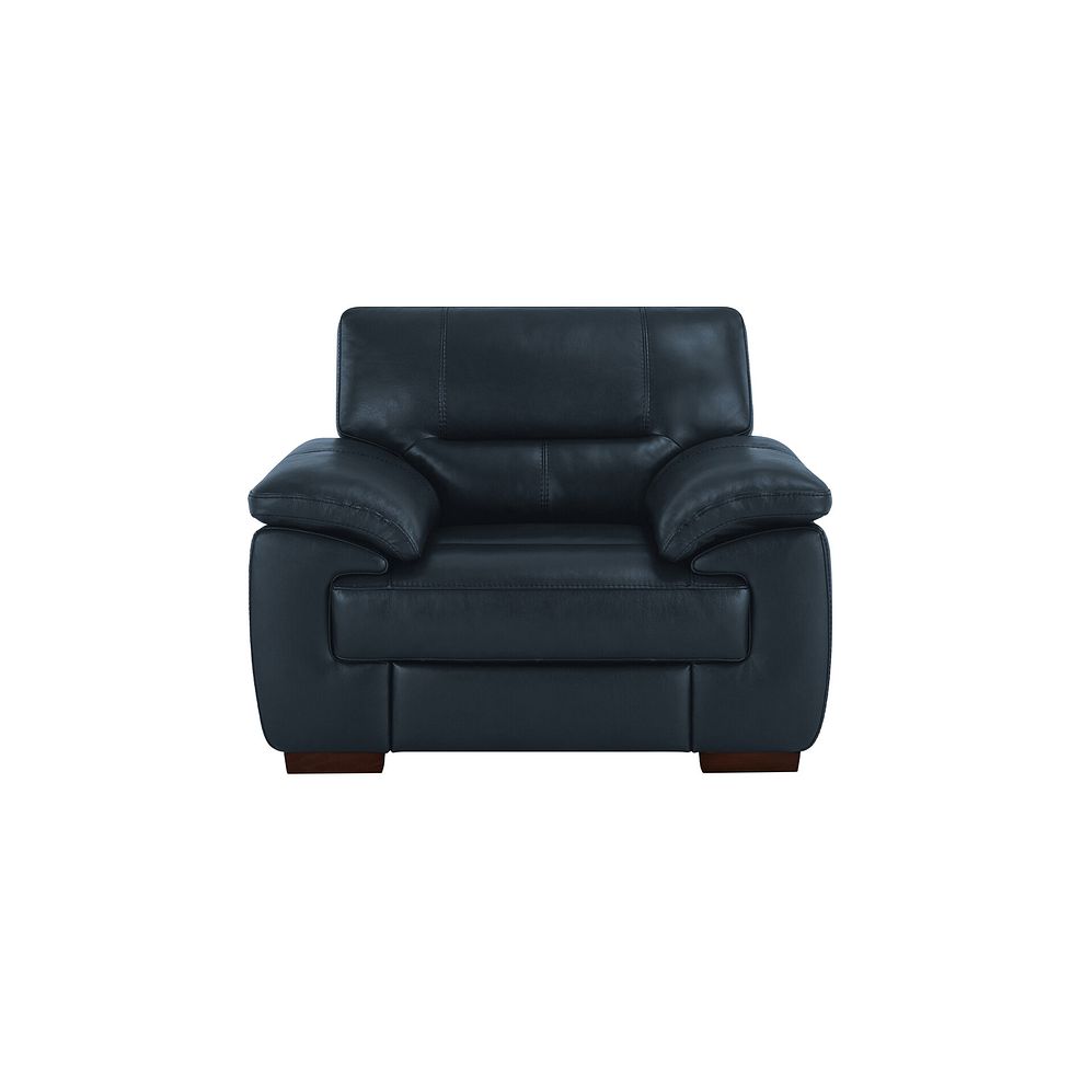 Arlington Electric Recliner in Blue Leather 2