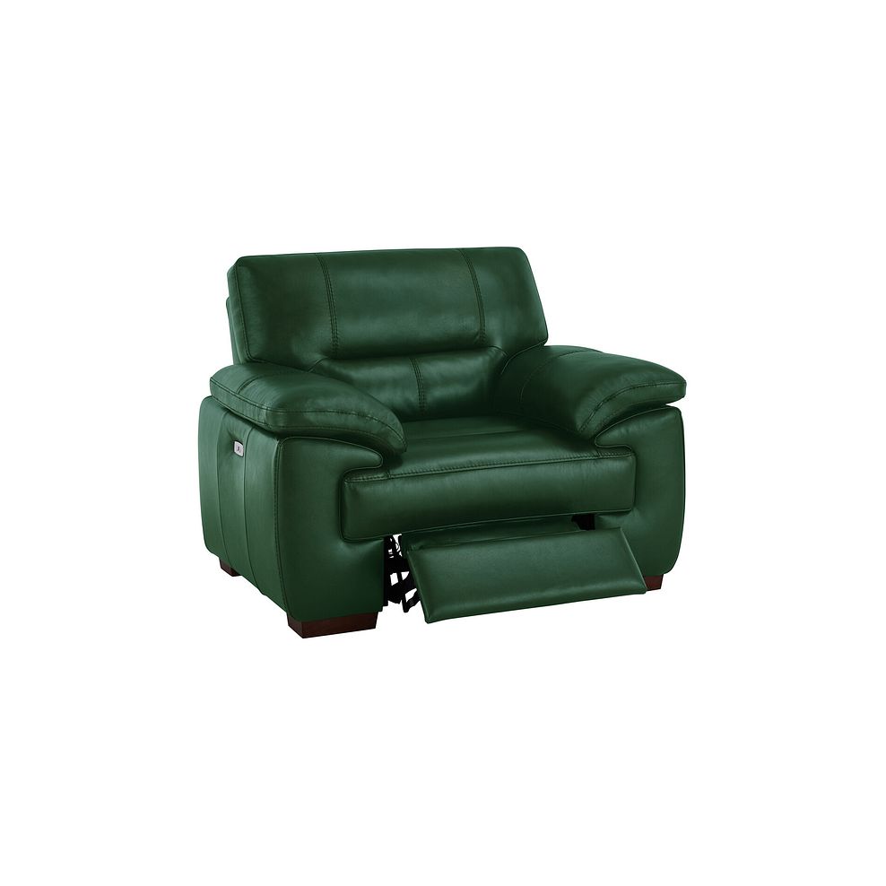 Arlington Electric Recliner in Green Leather 3
