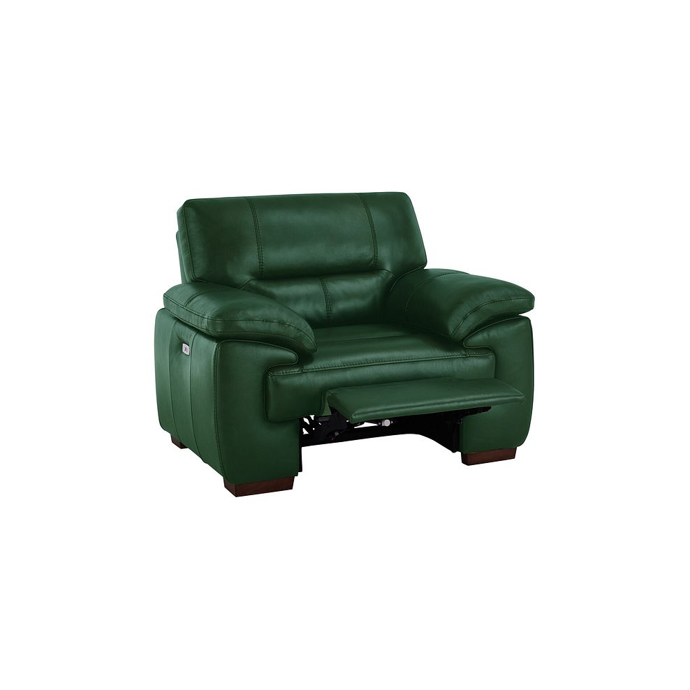 Arlington Electric Recliner in Green Leather 4