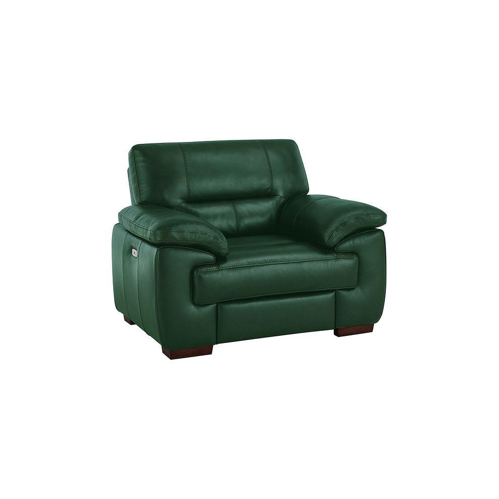 Arlington Electric Recliner in Green Leather 1
