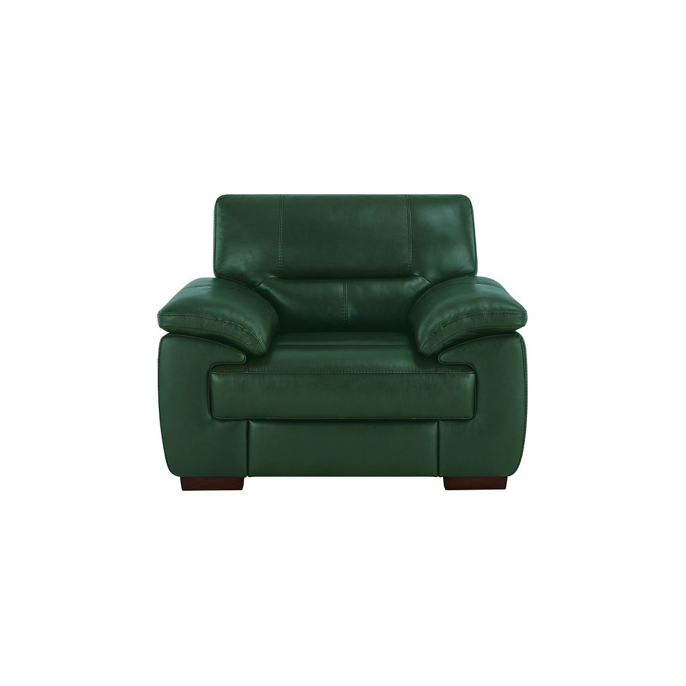 Arlington Electric Recliner in Green Leather 2