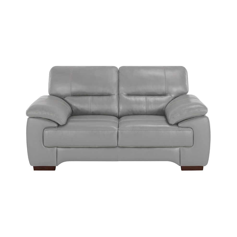 Arlington 2 Seater Sofa in Light Grey Leather 2