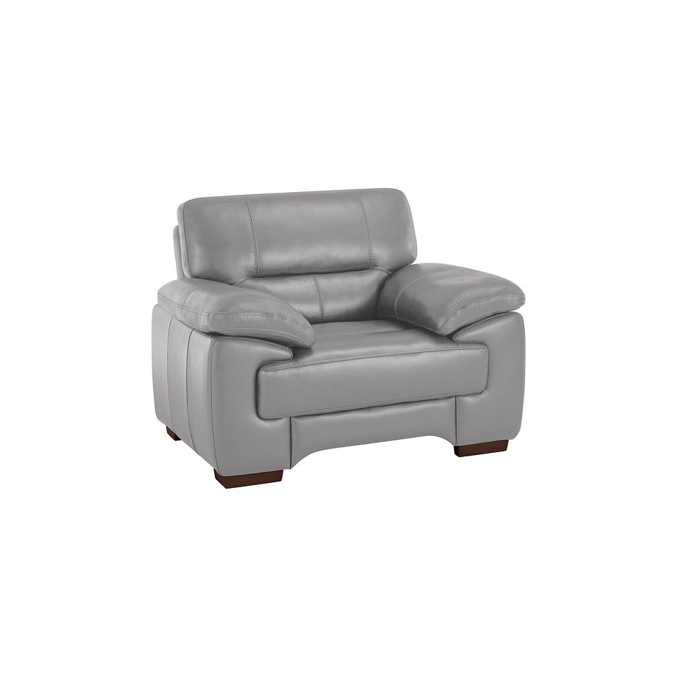 Arlington Armchair in Light Grey Leather 1