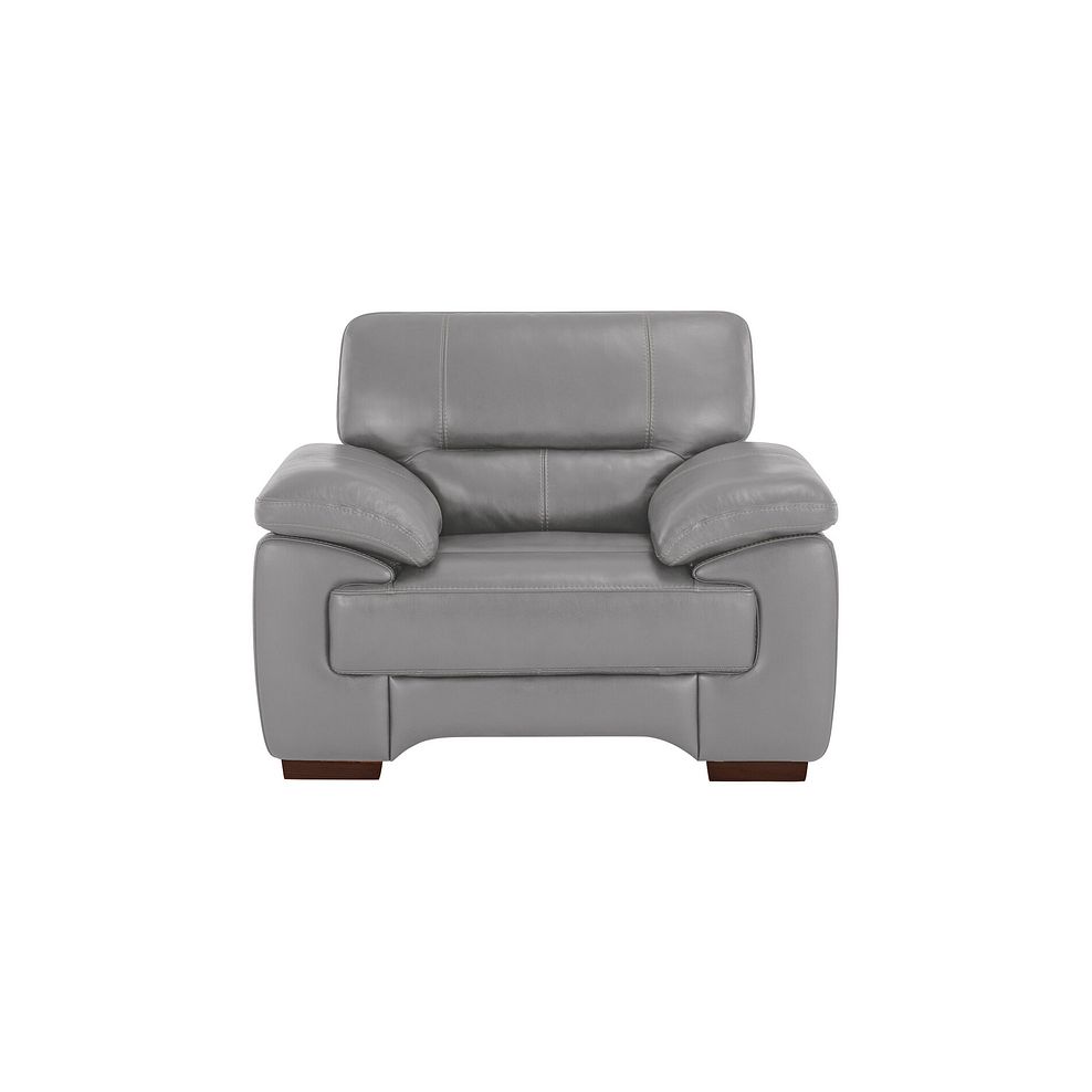 Arlington Armchair in Light Grey Leather 2