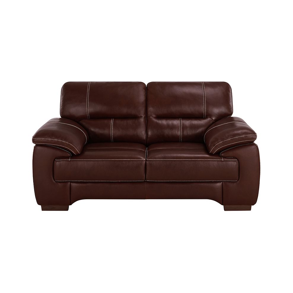 Arlington 2 Seater Sofa in Tan Leather 2