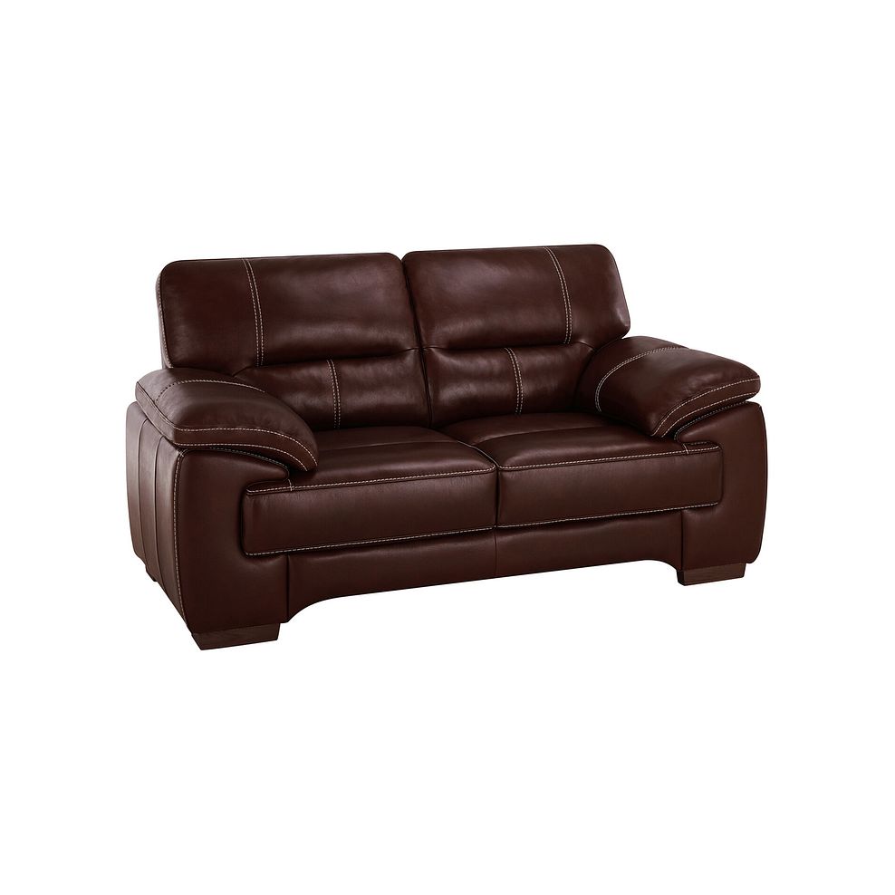 Arlington 2 Seater Sofa in Tan Leather 1