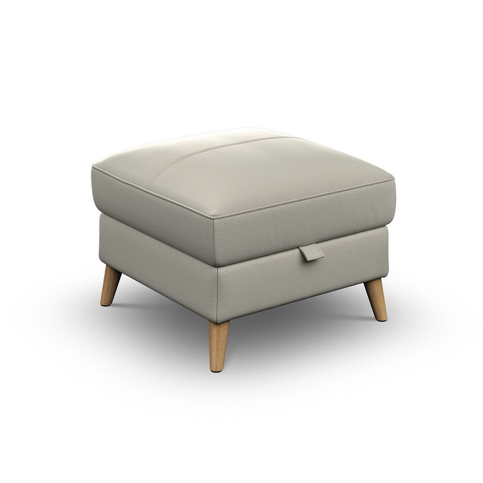 Brunel Storage Footstool in Bone China Leather 1