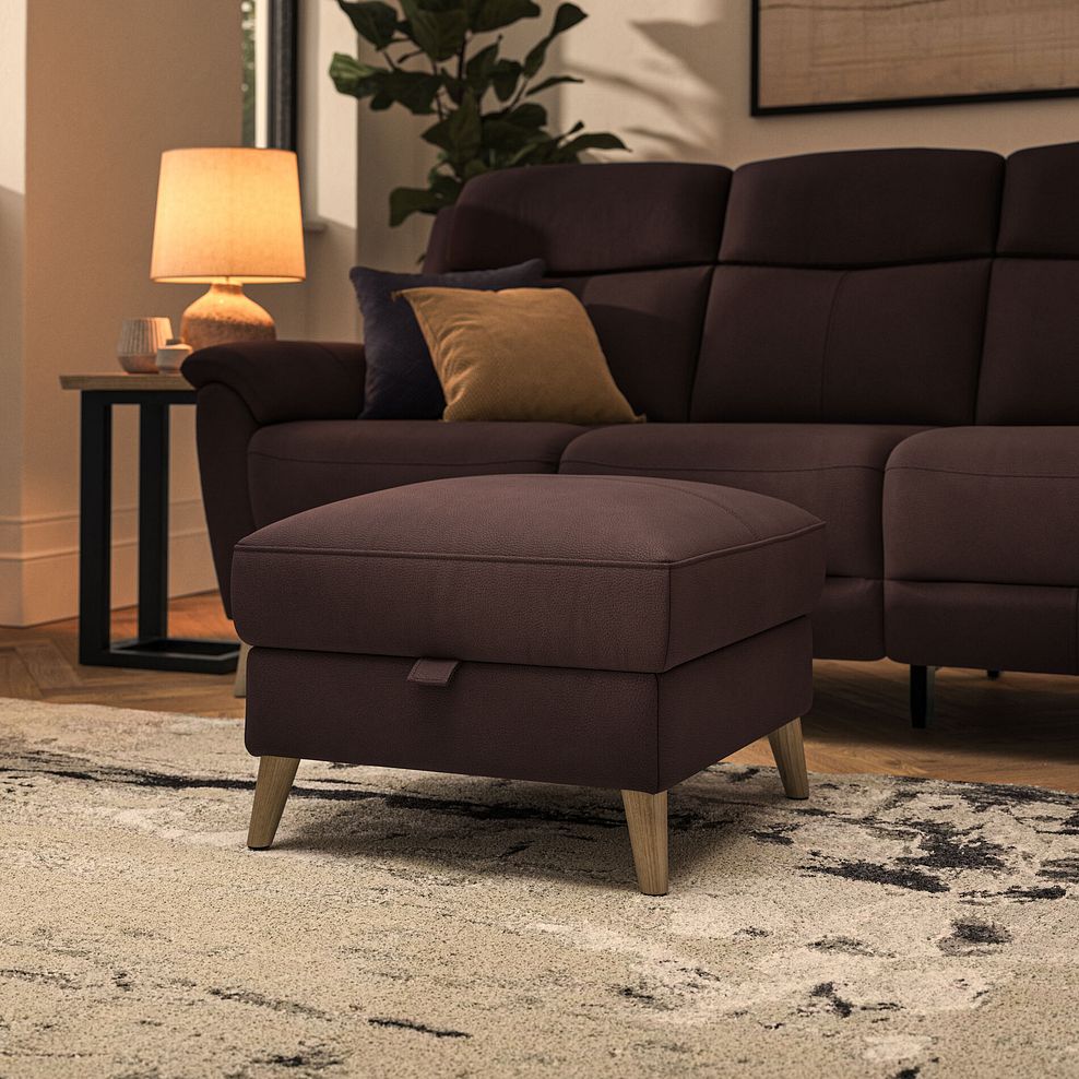 Brunel Storage Footstool in Chestnut Leather 1