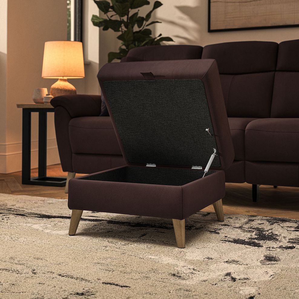 Brunel Storage Footstool in Chestnut Leather 3