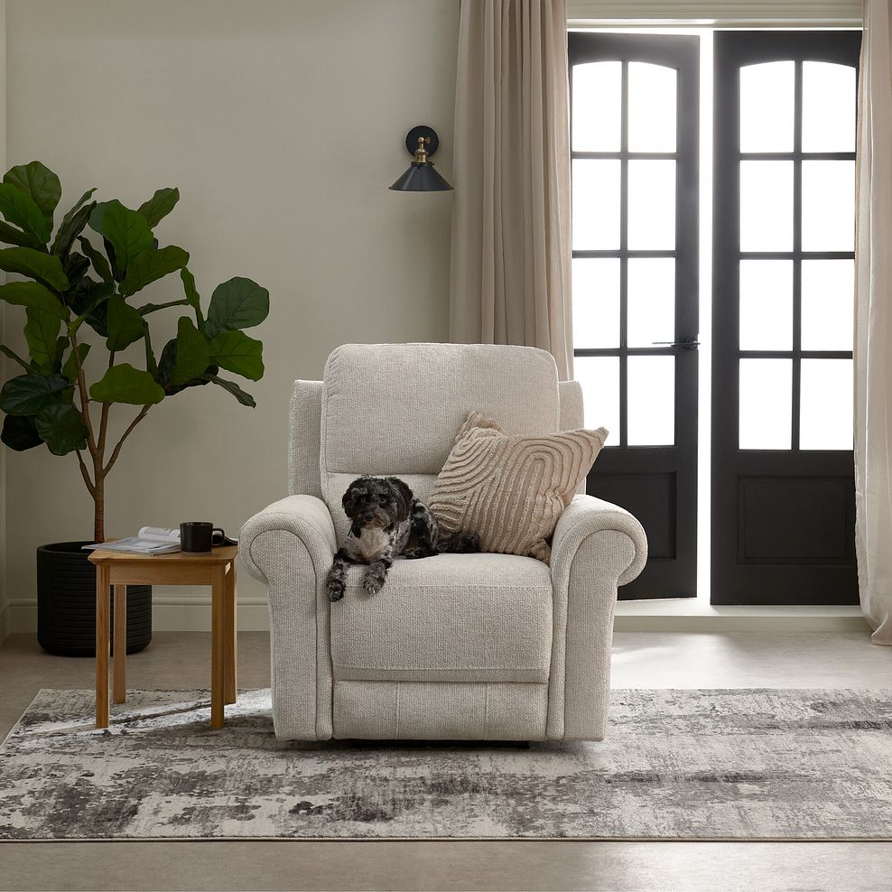 Colorado Armchair in Hopsack Natural Fabric 1