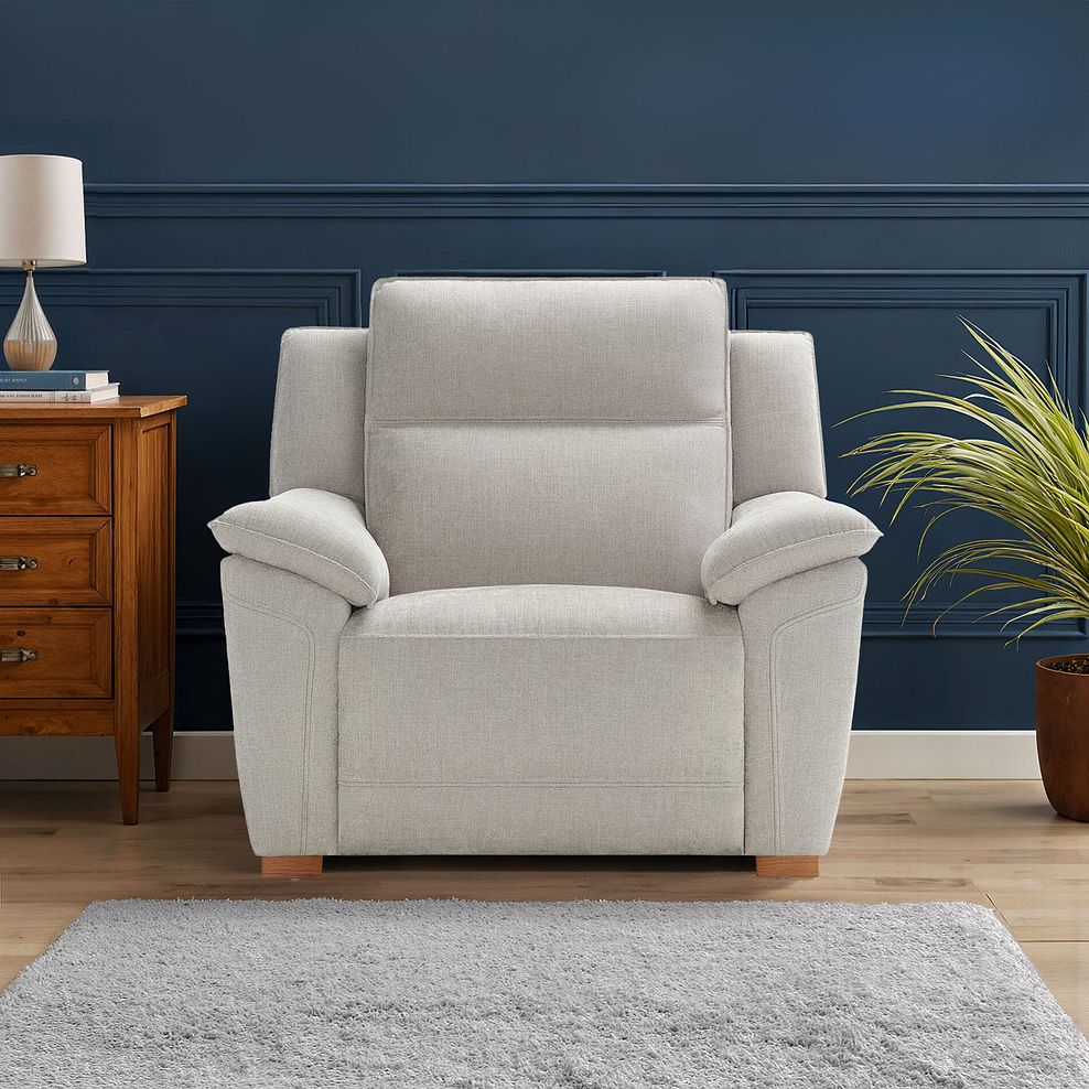 Dune Armchair in Amigo Dove Fabric 1