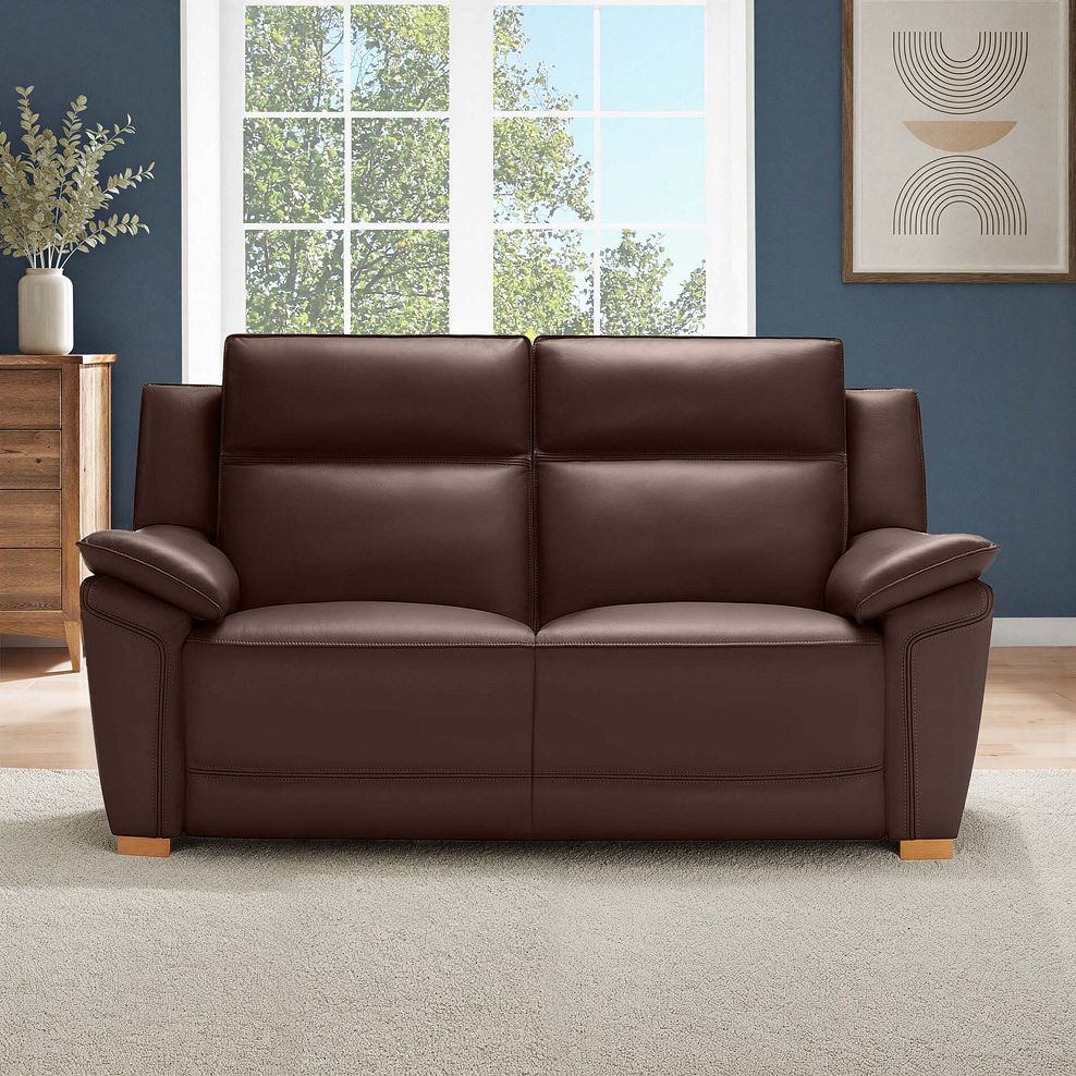 Dune 2 Seater Sofa in Coffee Bean Leather 1