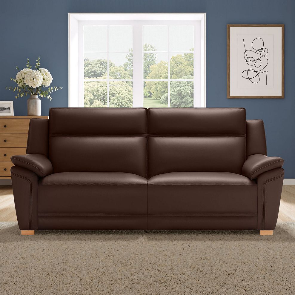 Dune 3 Seater Sofa in Coffee Bean Leather 1