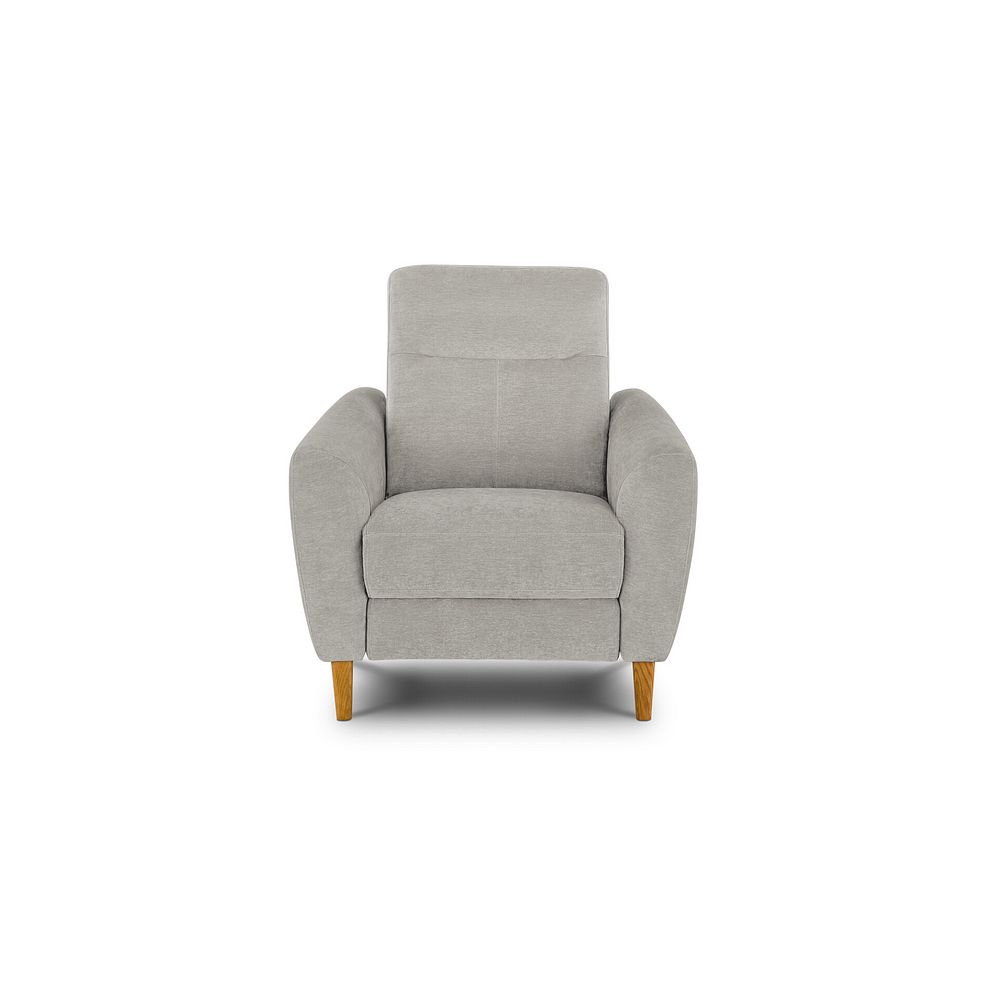 Dylan Armchair in Amigo Dove Fabric 2