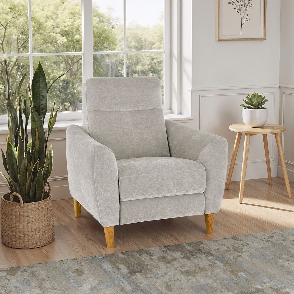 Dylan Armchair in Amigo Dove Fabric 1