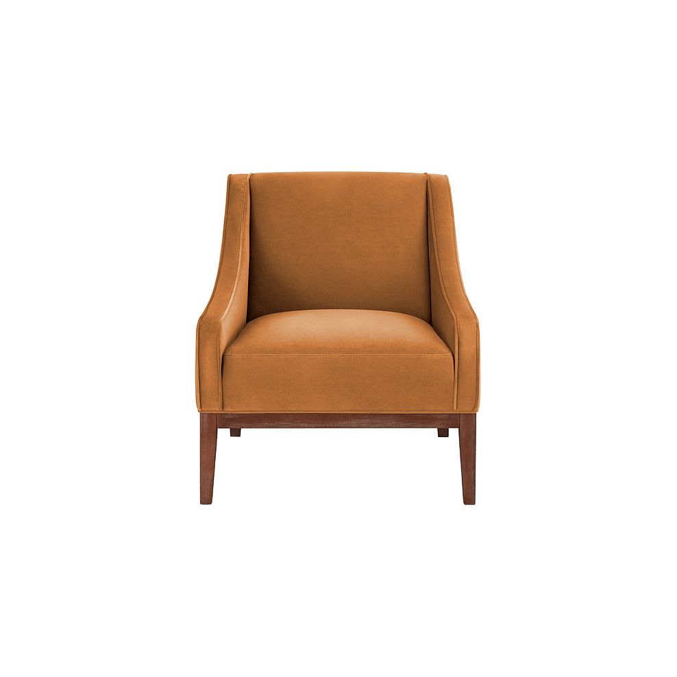 Hamilton Accent Chair in Amber Fabric 2