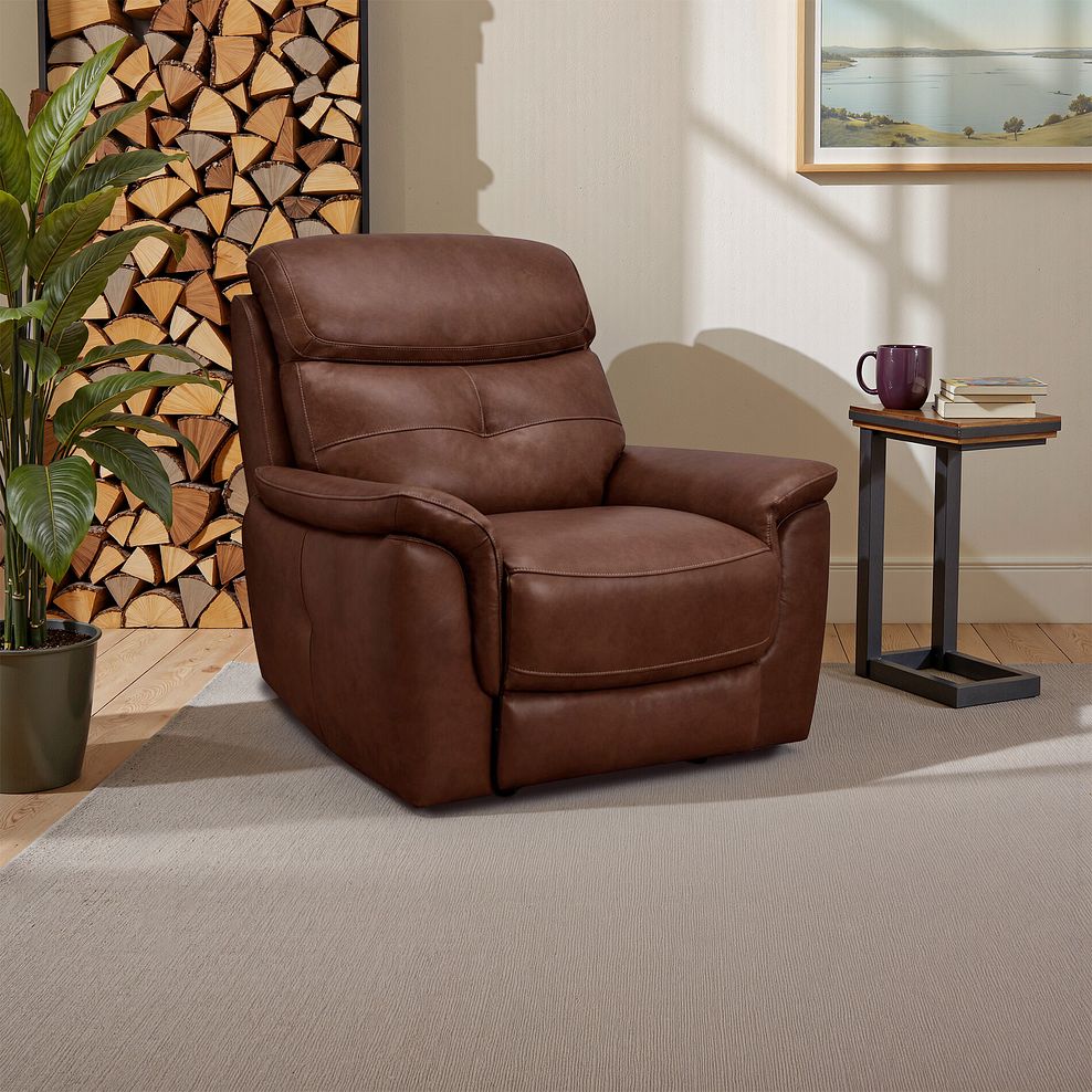Iver Armchair in Virgo Chestnut Leather 1