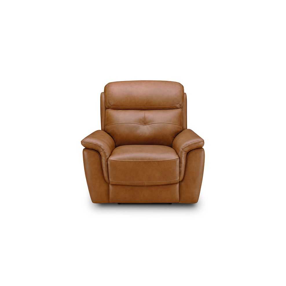 Iver Armchair in Virgo Cognac Leather 4